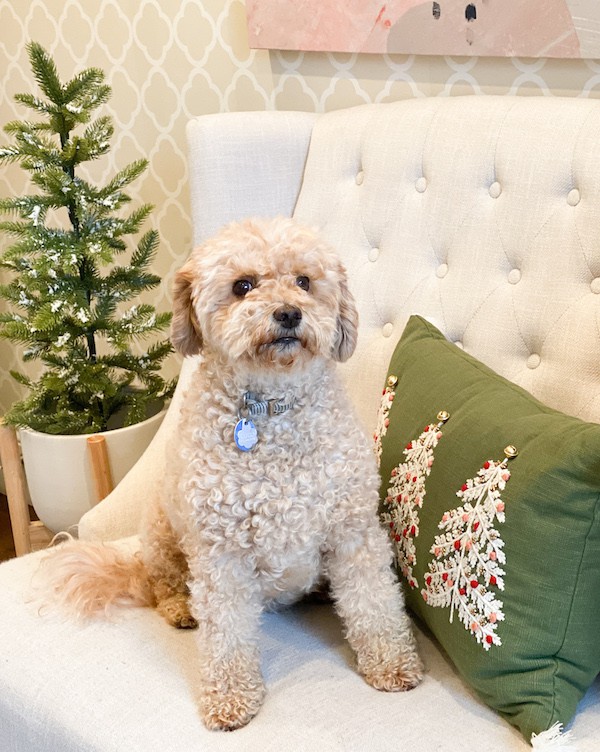 decorative pillows with a holiday theme
